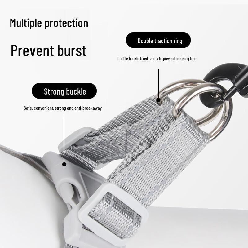 Comfortable Reflective Dog Harness and Leash Set