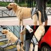 Adjustable Pet Rear Leg Support Comfortable Dog Back Leg Sling  Joint Injuries
