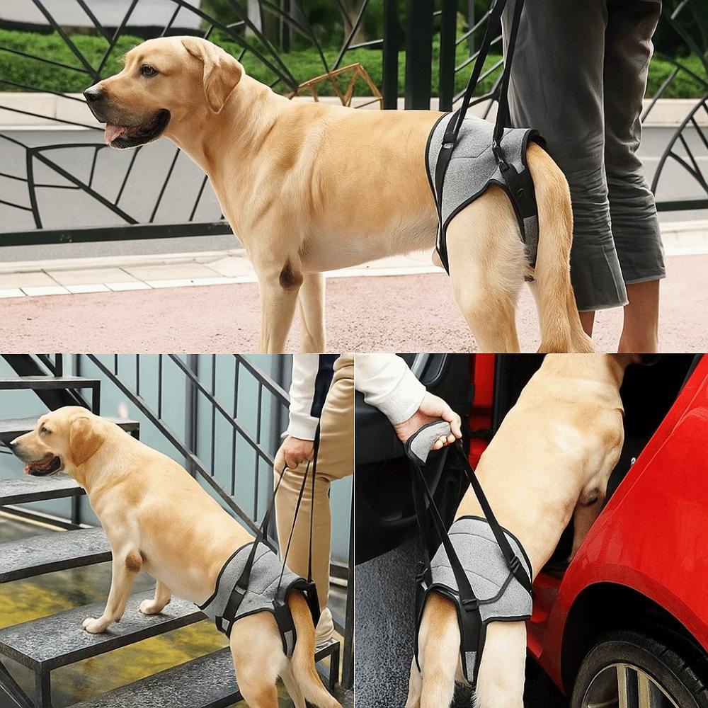 Adjustable Pet Rear Leg Support Comfortable Dog Back Leg Sling  Joint Injuries