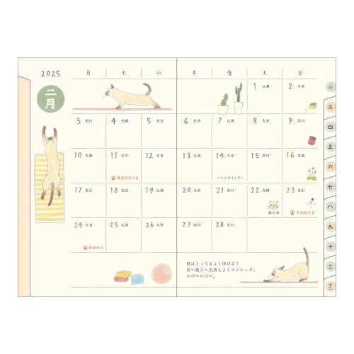 Midori Pocket Diary Notebook 2025 Mini Monthly Cat Pattern 22293006 (Starting from January 2025)
