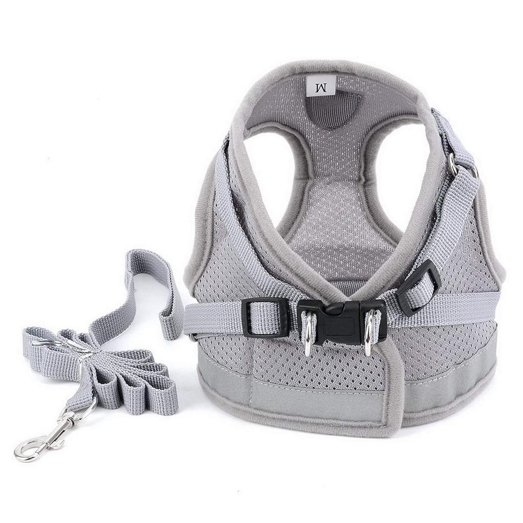 Zunea Hunde Geschirr und Leine Set für kleine Hunde und atmungsaktives Mesh Geschirr mit reflektierendem Sicherheits- und leichtem, verstellbarem und einfach an- und auszuziehendem