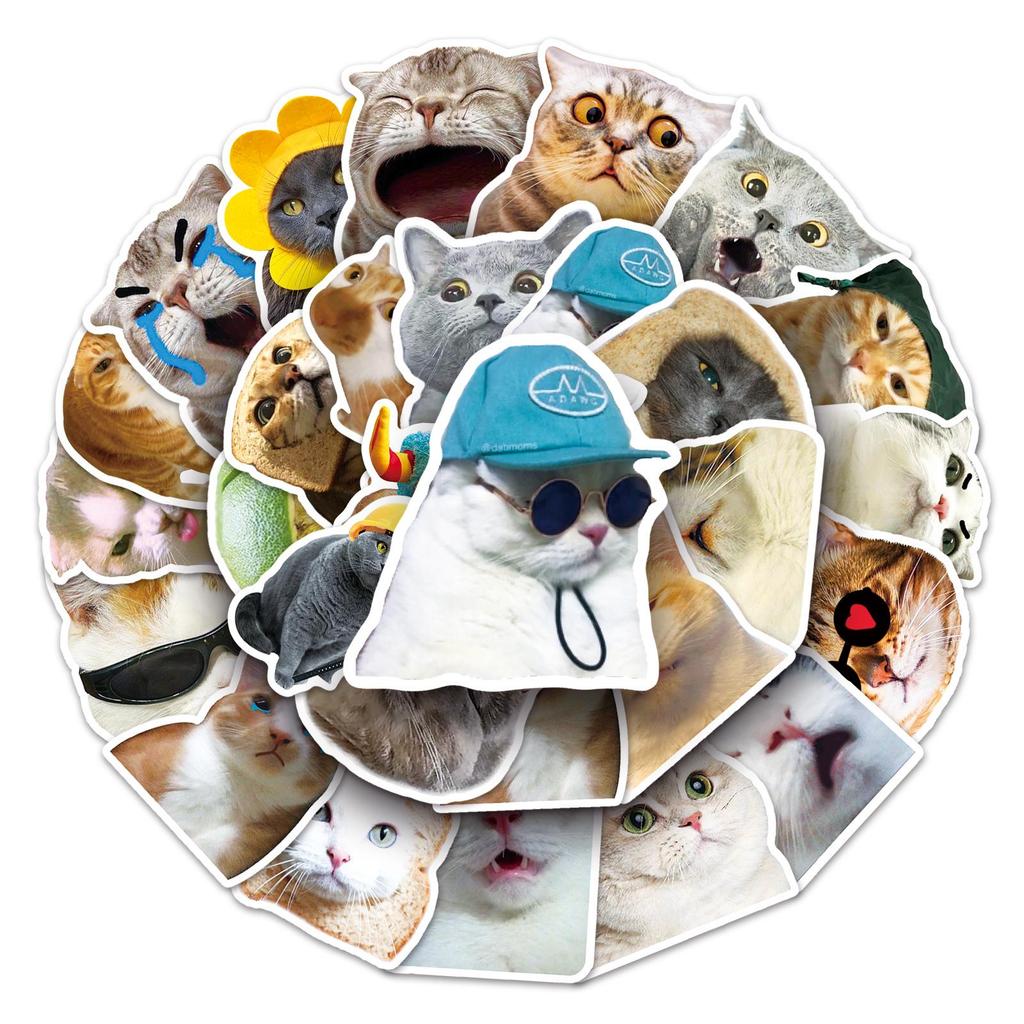 50PCS Cute Cartoon Cat Stickers for Phone and Cup Decoration