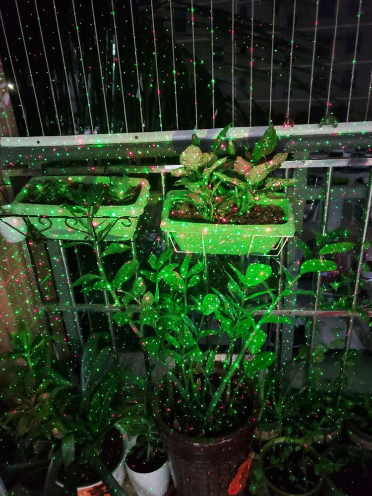 Waterproof Solar Starry Sky Lights for Outdoor Christmas and Courtyard Décor