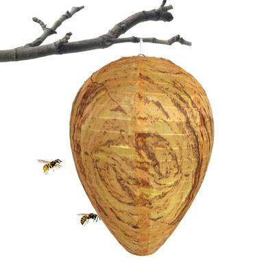 Insectos – Apicultura