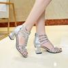 Women's Sandals Peep Toe Chunky Heels Silver Women Wedding Shoes Ankle Boots Sandal Open Toe High Heels Dress Gold Bling Pump