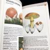 [USED] Two Mushroom Encyclopedias: "Funghi" and "Funghi Del Bosco" In Italian