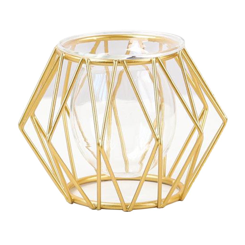 Metal Wire 3D Geometric Hydroponics Vase Holder Watering Planter Flower Pots Test Tube Vase Plants Home Desktop Table Decor