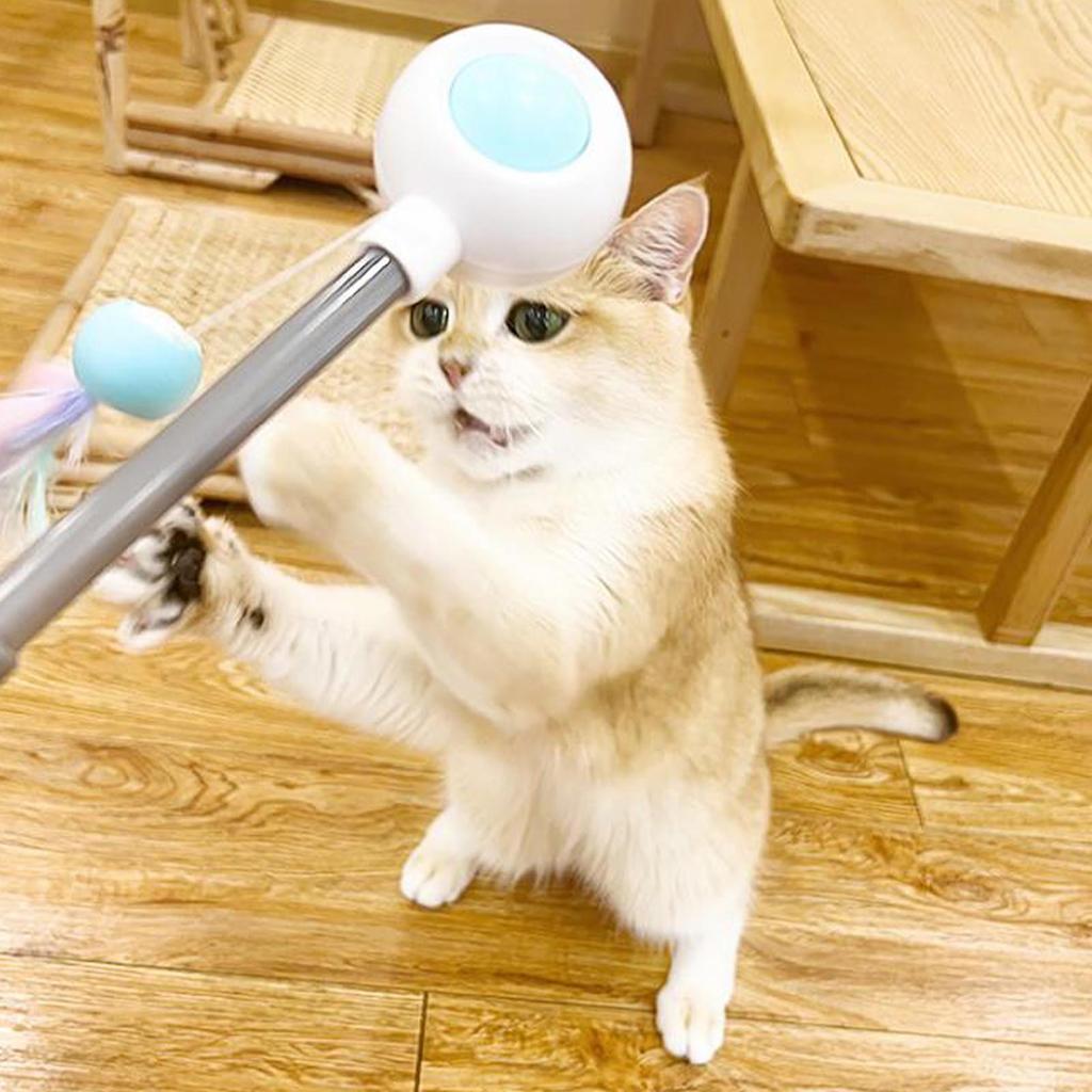 Retractable Cat Wand Attract Attention Cat Tser Wand Toy Cat Interactive Toy for Exercise