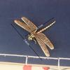 1 Pcs Vintage Brass Dragonfly Figurine - Antique-Style Home & Office Desk Decor Creative Tea Pet Collectible