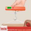Portable Digital Hanging Scale