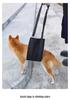 Senior Dog Support Harness for Rehabilitation: Chest Strap & Limb Assistance