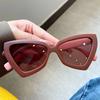 Trendy Cat Eye Sunglasses for Women Men UV400 Protection Luxury Designer Brand Solid Color Travel Sun Shades