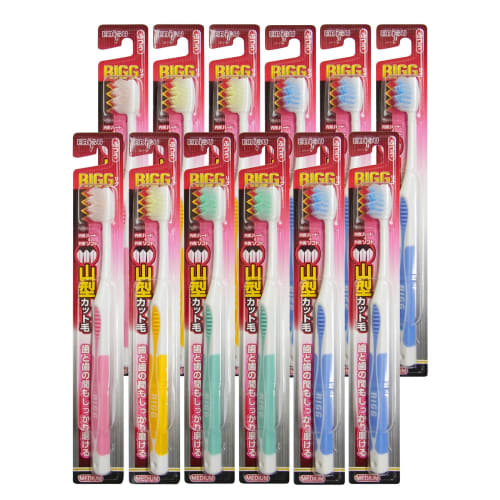 Ebisu Rig Mountain Toothbrush, Regular, 12-Pack