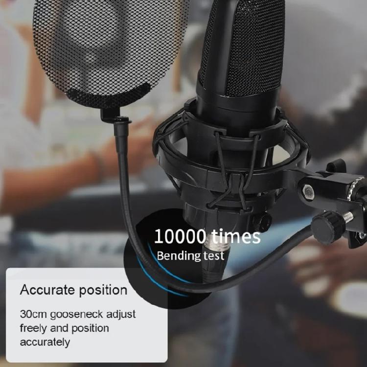 Recording Microphones Poppings Filter Mics Blowout Prevention Net Double Metal Meshes Layers for Studio Recording Sound