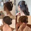 4 Stück/Set Mode Künstliche Perle Haarspangen Für Frauen Mädchen Party Pferdeschwanzhalter Haarschmuck