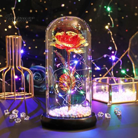Birthday Rose Present Flower Gifts for Her Mom Wife Grandma Light Up Eternal Gift in A Dome Romantic Anniversary Valentine's Day Christmas