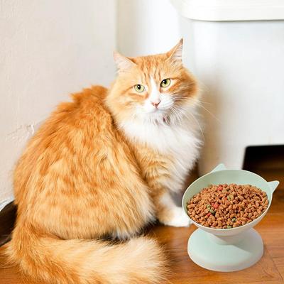 Nova tigela elevada inclinada para gatos, tigela de plástico para cães e gatos, anti-vômito, dispensador de comida e água para animais de estimação, tigela elevada para cães, produtos para animais de estimação