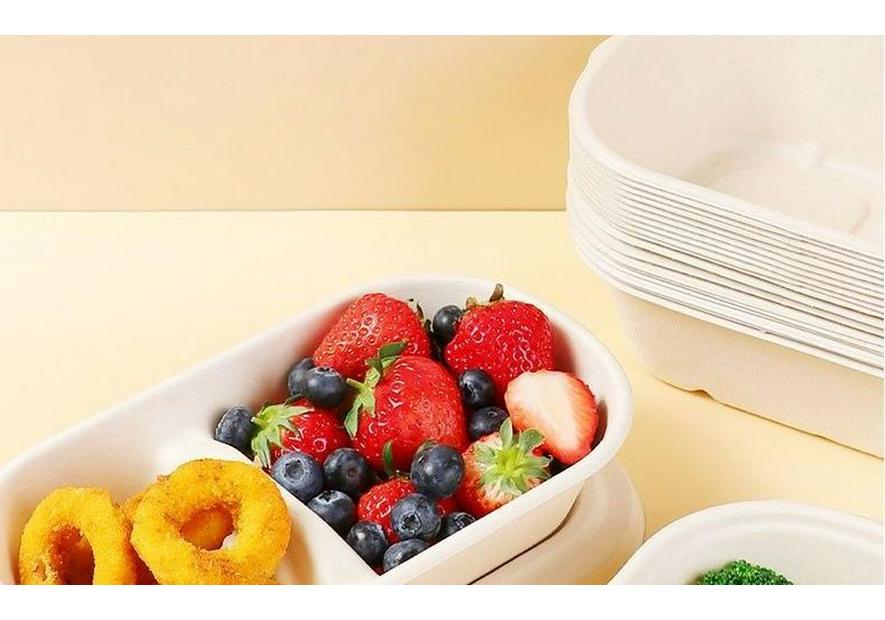 Eco-friendly Biodegradable Disposable Pulp Meal Box for Takeaway Salads and Light Meals