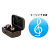 Sennheiser MOMENTUM True Wireless 4 Earphones with Aging Sound Personalized Black Copper Playback Noise Ambient Sound Bluetooth Premium True Wireless