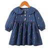 Girls Strawberry Embroidered Denim Dress Peter Pan Collar Princess Casual Spring Autumn Jean Dress For Kids