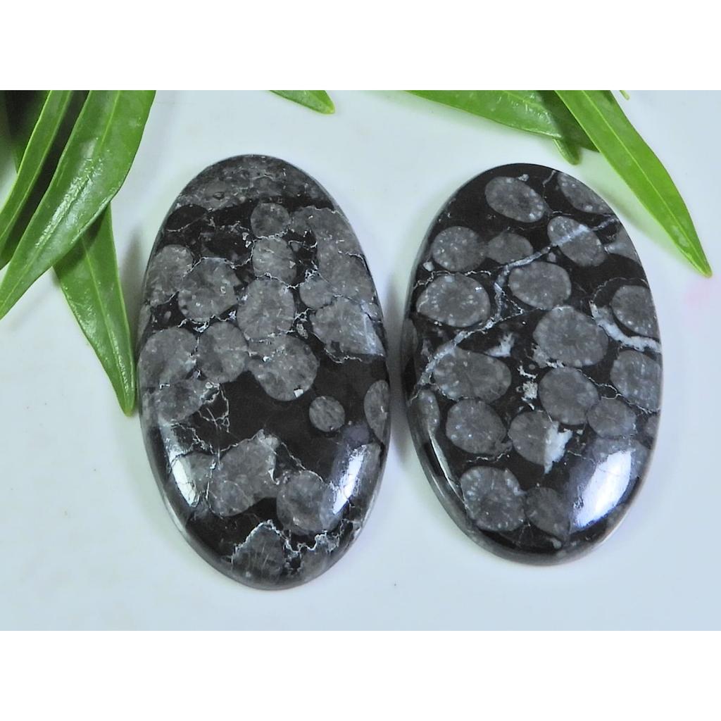 2Pcs 90Cts. Natural Black Fossil Coral Oval Cabochon Gemstone 23X38-23X41MM A-104
