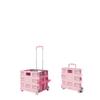 Portable Folding Shopping Cart with 2 Wheels