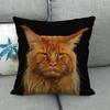 Uroczy zwierzęcy nadruk z kotem seria Sofa kreatywna poduszka prosta poduszka domowa impreza samochód