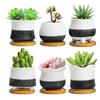 FaceColor Ceramic Flower Size for and Japanese and Western Black and White Drainage Bamboo and Pot Bottom Gift Set Not 6-Piece Pot, 3, Stylish,