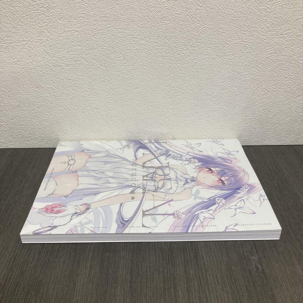 [USED] UNREAL rurudo Art Collection