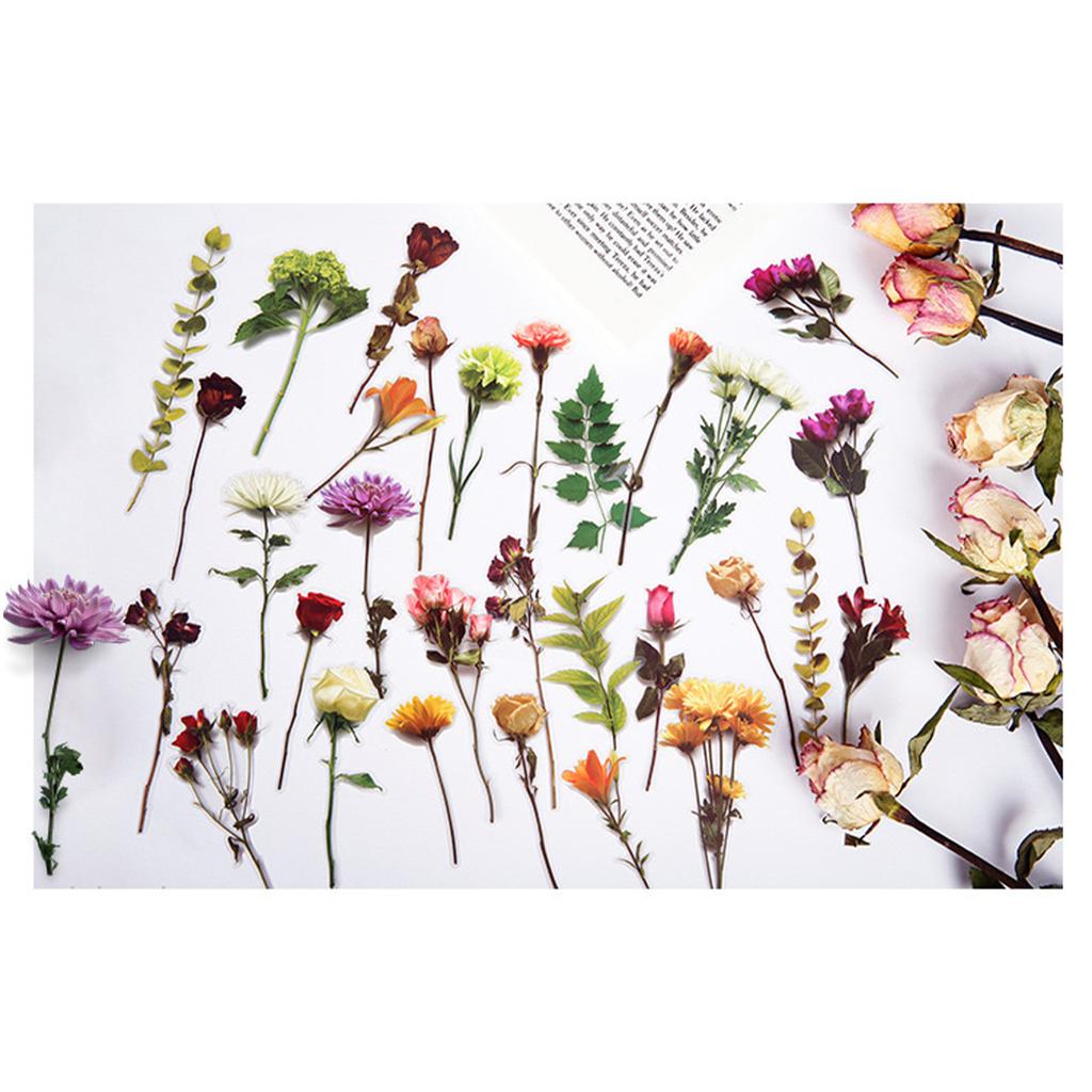 30Pcs Vintage Plants Flowers Leaves Stickers Vintage Retro Flower Plant Stickers Decals for Laptop