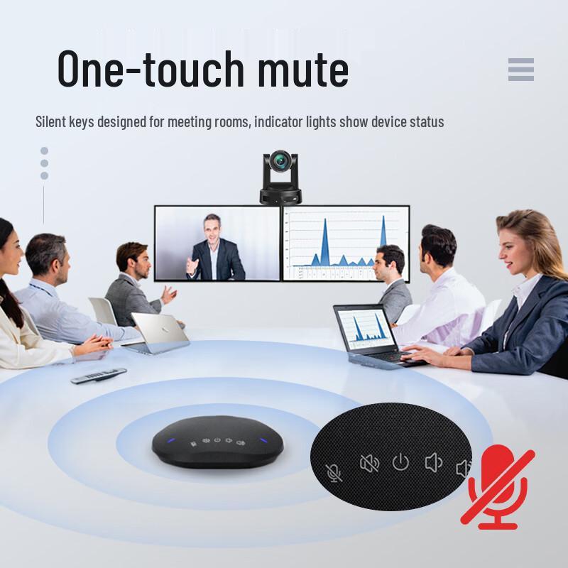 Huachang Vision 2.4G Wireless Omnidirectional Conference Microphone (CN version)