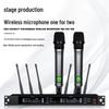 Wireless Professional Microphone Set with Anti-Howling for Karaoke, Meetings, and Performances