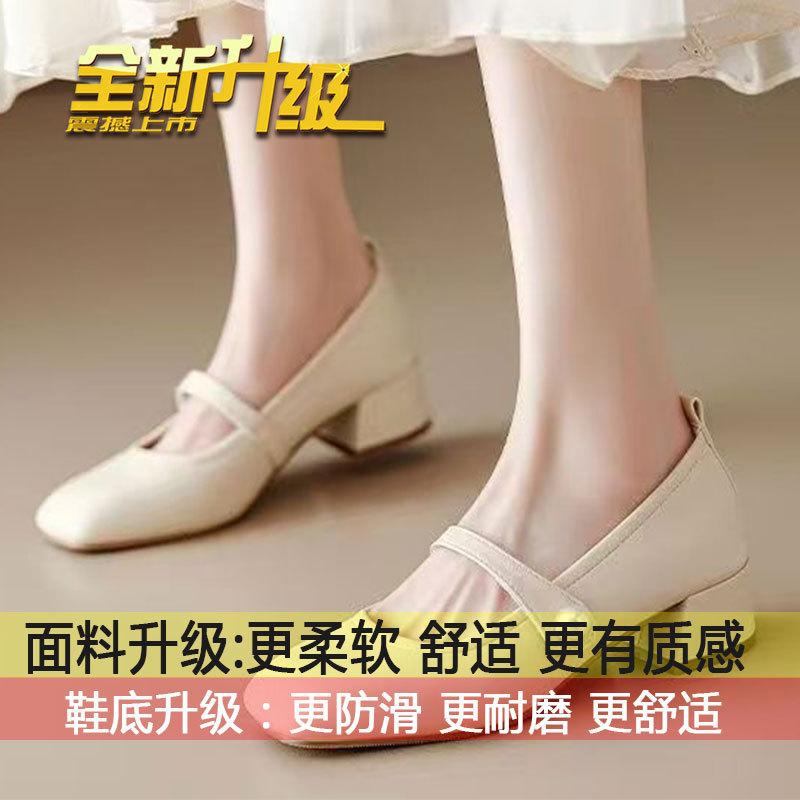 

High heels, French mid-heel, thick heels, Mary Jane women s shoes, 2025 spring/summer new small leather shoes with skirts, evening shoes 35