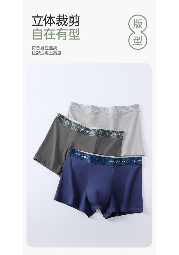 Fentenggan Men's Underwear 3-Pack