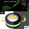 Green Stripe Traction Tape Glow In the Dark Non Skid Safety Tape Luminous Tape  Outdoor Use