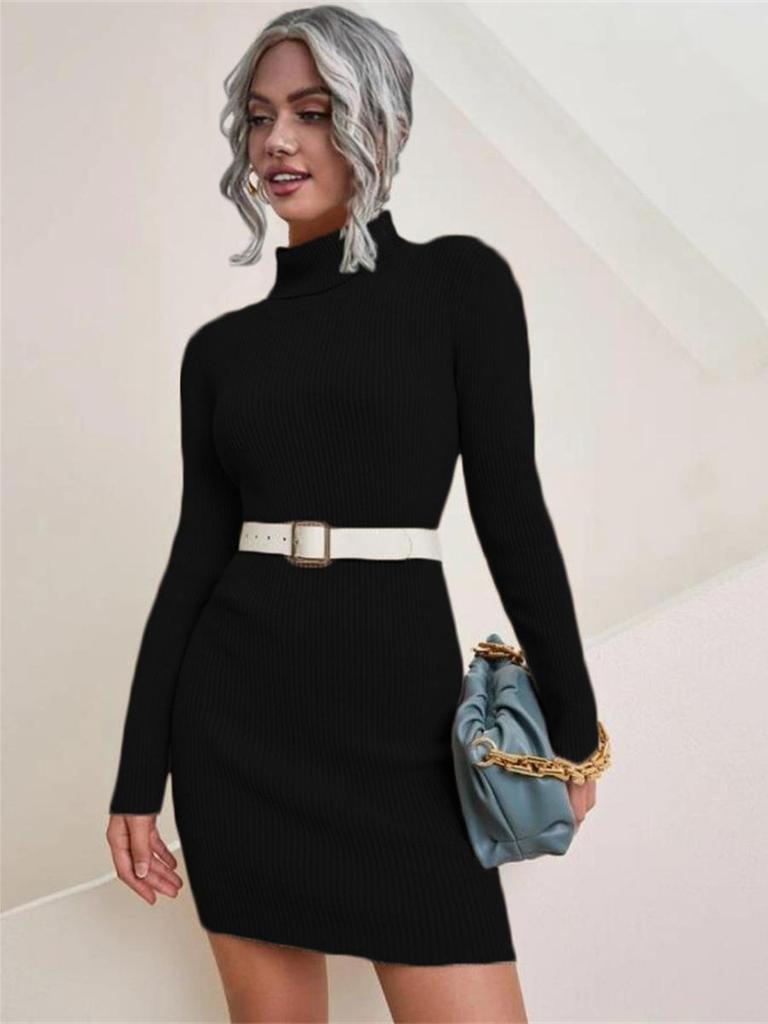 Women's Chunky Knit Long Sleeve High Neck Sweater Dress for Fall/Winter