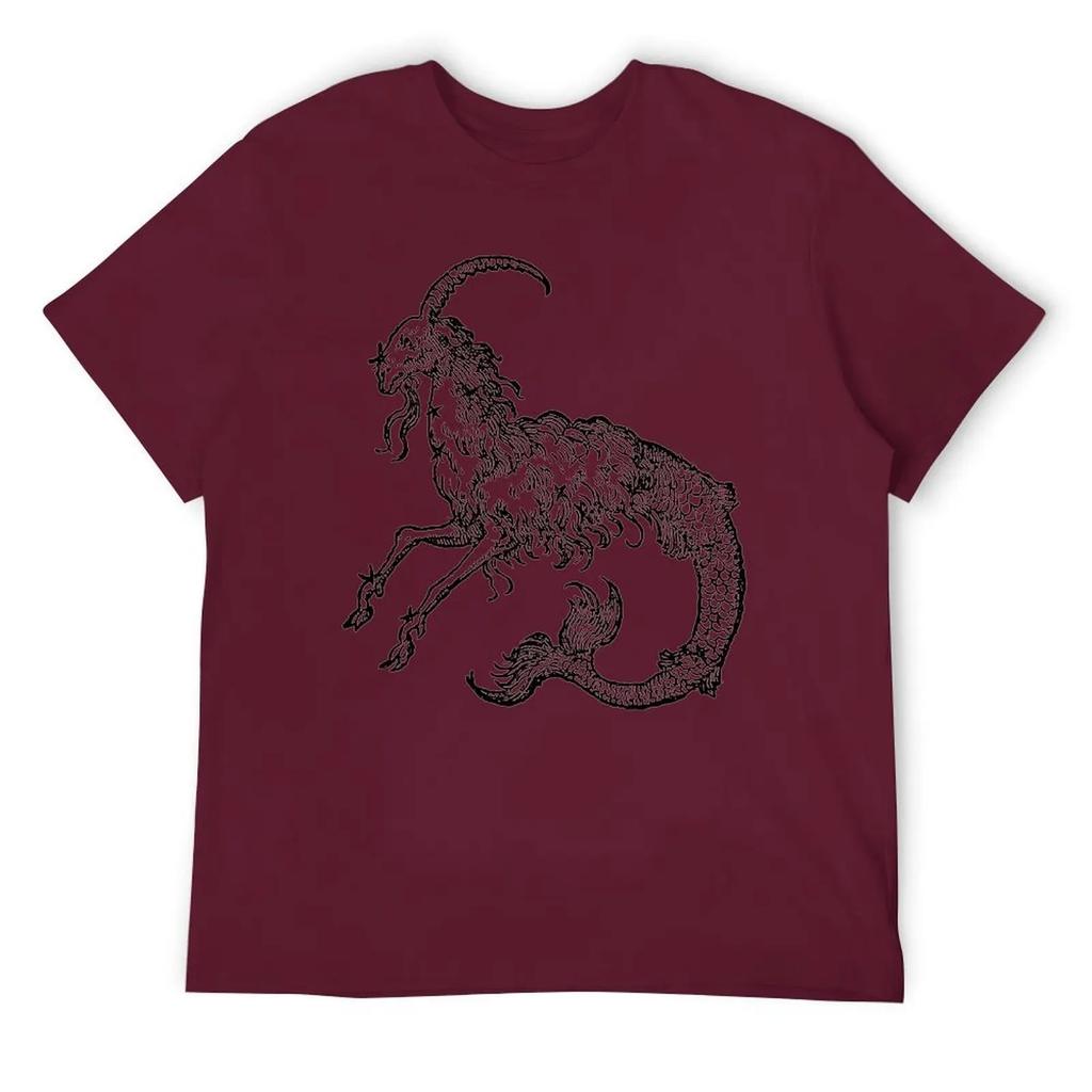 Capricorn Twelve Constellation (4) T-shirt Harajuku Move Tshirt Vintage Home Funny Novelty USA Size