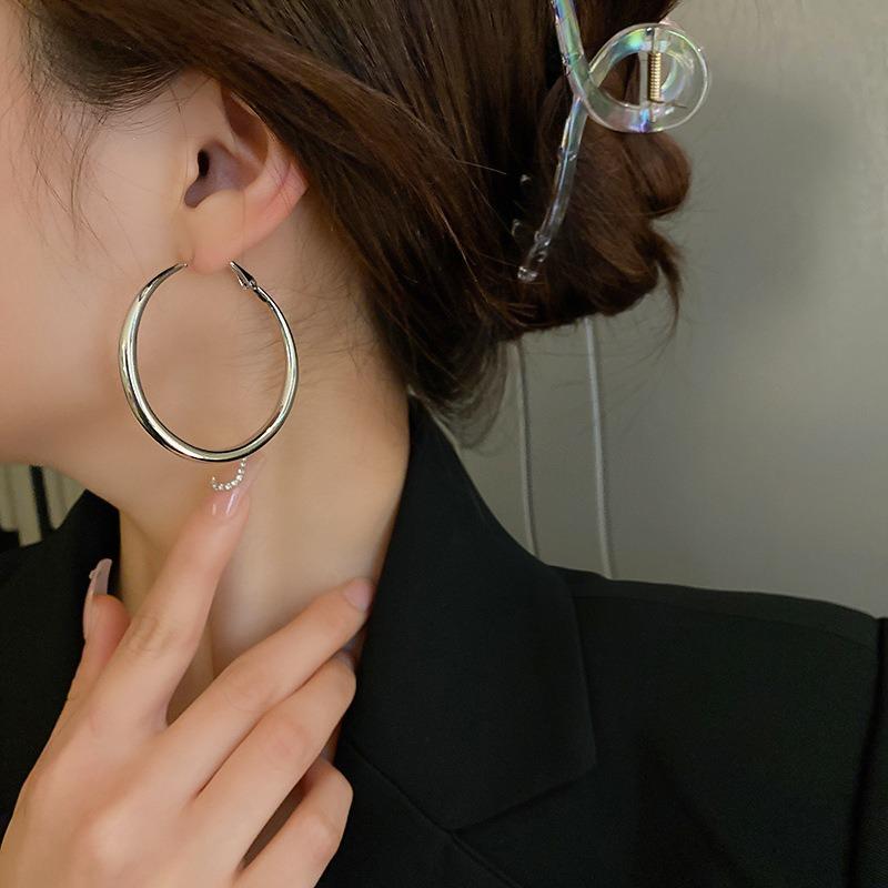 Silver Needle Autumn and Winter Metal Earrings Earrings Niche Fashion Cold Wind Earrings Versatile Light Luxury Premium Earrings