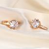Douyin Popular Small Exquisite Flash Diamond Stud Earrings Niche Design Earrings Earrings Wholesale