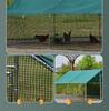Extra Large Outdoor Rainproof Poultry Coop for Chickens, Pigeons & Peacocks
