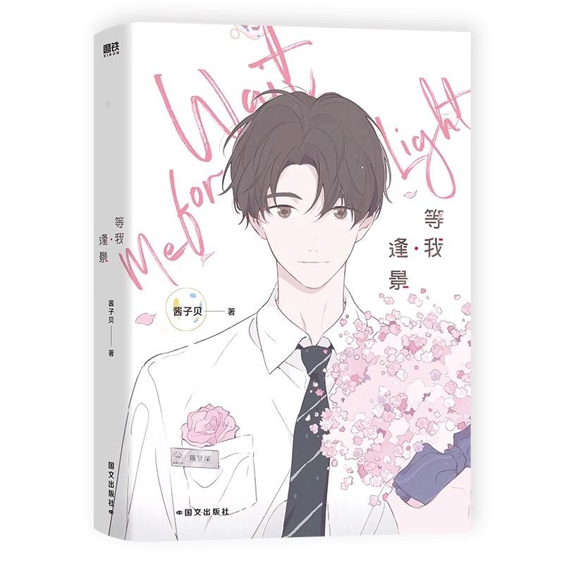 New Wait For Me Towards Light Original Novel Vol.2 Chen Jingshen, Yu Fan Youth Campus Romance Danmei Fiction Book