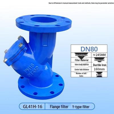 DN80 Gusseisen Y-Form Flanschfilterventil