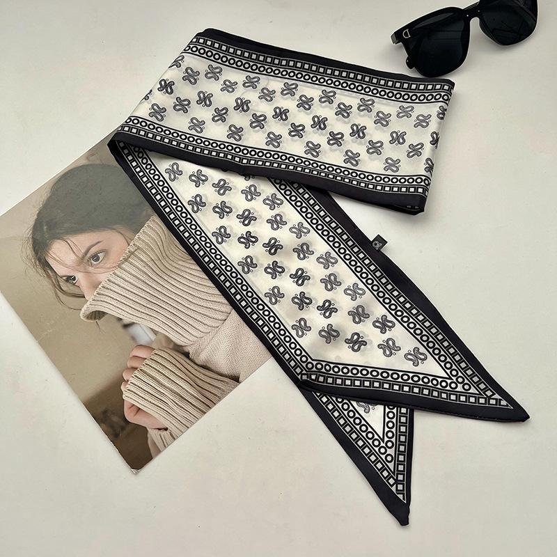 Double-sided Long Strip Small Silk Scarf Women's Professional Wear Spring and Summer New Decorative Small Scarf Tied Hair Band Streamer
