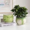 Jie Jie Gao Sheng Ceramic Flower Pot Set with Tray