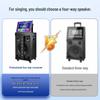 Philips SD289D Portable Karaoke KTV System CN plug (adapter included)