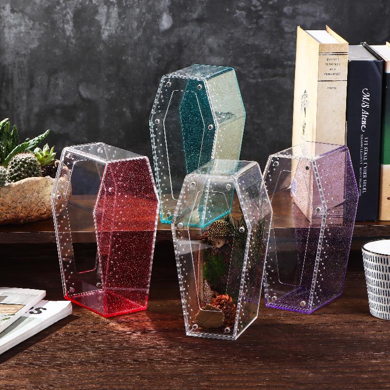 Acrylic Transparent Reptile Enclosure Insect Spider Lizard Feeding Cage Reptile Breeding Box Ventilation Arboreal Enclosure Case