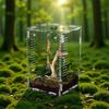 Hochklares Acryl-Sprungspinnen-Terrarium für Insekten, Frösche, Reptilien, Haustiergehege, Ideal für Heimtischdekoration, Hobbyisten
