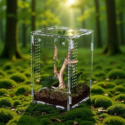 Reptiler – Terrarium
