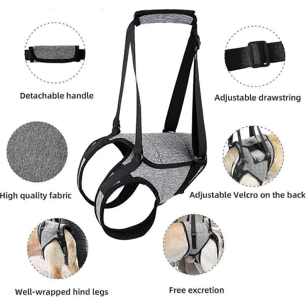 Dog Support Harness for Back Legs Large Dog Harness with Lift Handle Adjustable Puppy Harness for Pain Relief Rehabilitation Surgeries - M 1ytrd