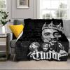 Rap Legend In Blue Blanket Flannel Blanket for bed, sofa, Camping, Hiking, Picnic Essentials, gift for family Fan gifts